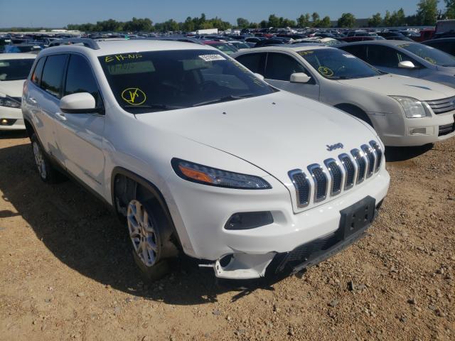 JEEP CHEROKEE L 2014 1c4pjlcb8ew120532