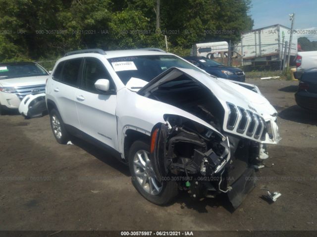 JEEP CHEROKEE 2015 1c4pjlcb8fw516431