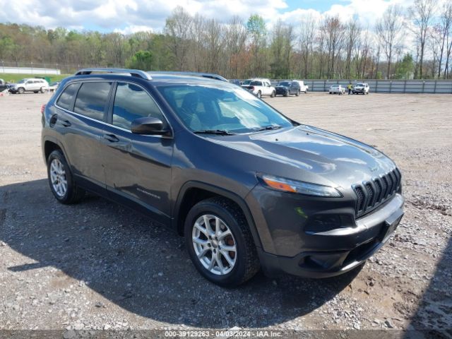 JEEP CHEROKEE 2015 1c4pjlcb8fw621034