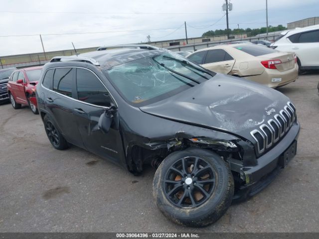 JEEP CHEROKEE 2016 1c4pjlcb8gw138063