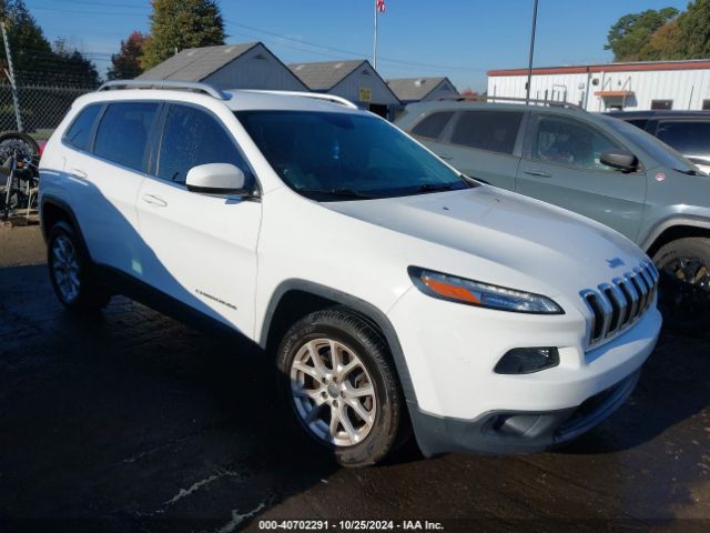 JEEP CHEROKEE 2017 1c4pjlcb8hw623921