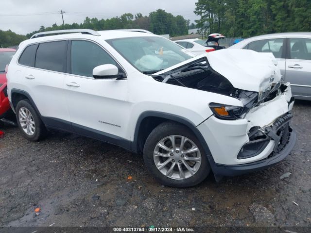 JEEP CHEROKEE 2019 1c4pjlcb8kd248535