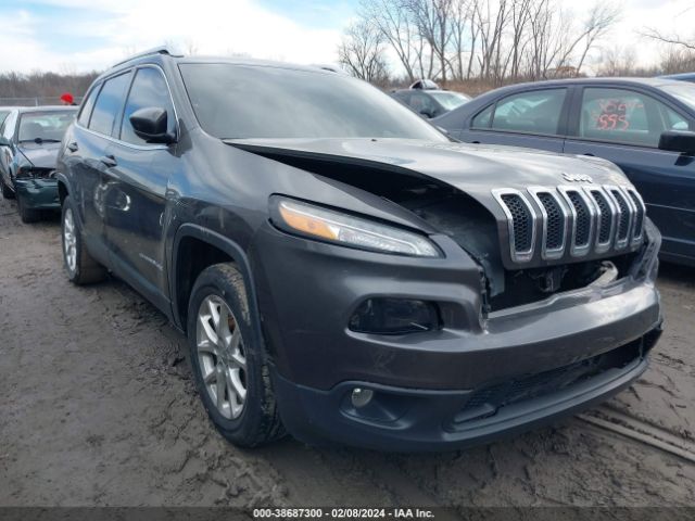 JEEP CHEROKEE 2014 1c4pjlcb9ew153958