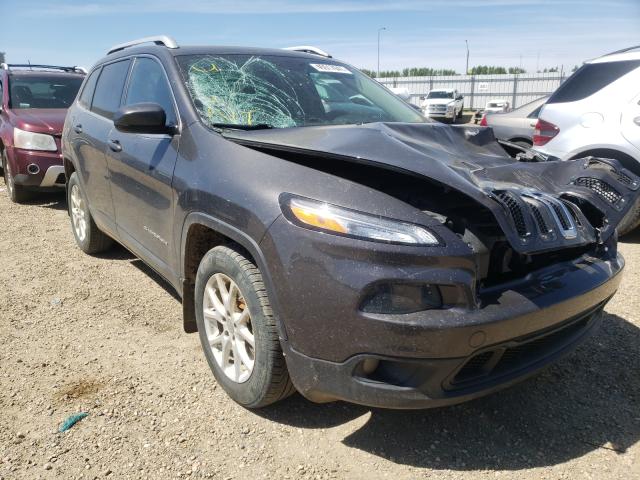 JEEP NULL 2014 1c4pjlcb9ew271802