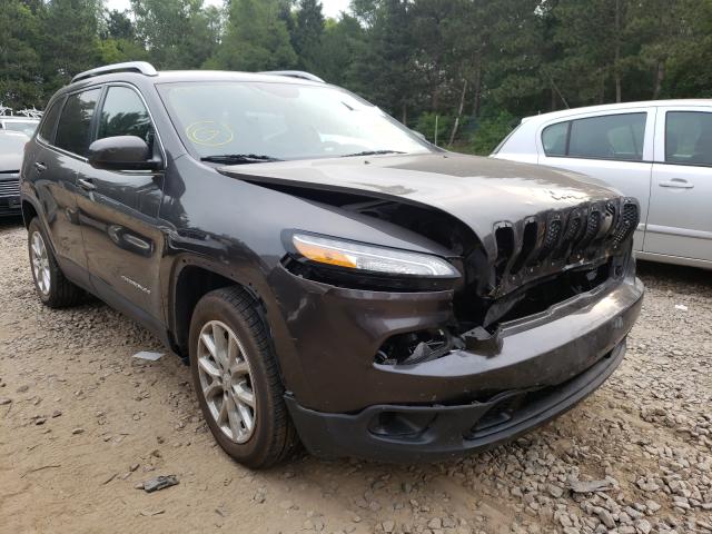 JEEP NULL 2016 1c4pjlcb9gw257739