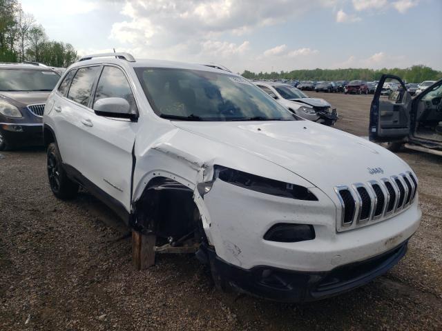 JEEP CHEROKEE L 2014 1c4pjlcbxew186824