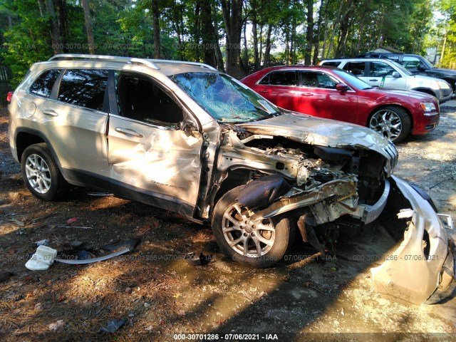 JEEP CHEROKEE 2014 1c4pjlcbxew227100