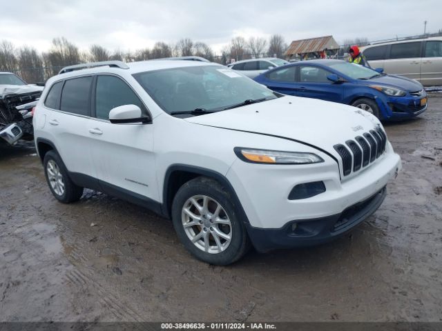 JEEP CHEROKEE 2014 1c4pjlcbxew245595