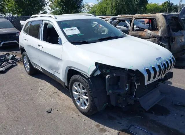 JEEP CHEROKEE 2014 1c4pjlcbxew322904