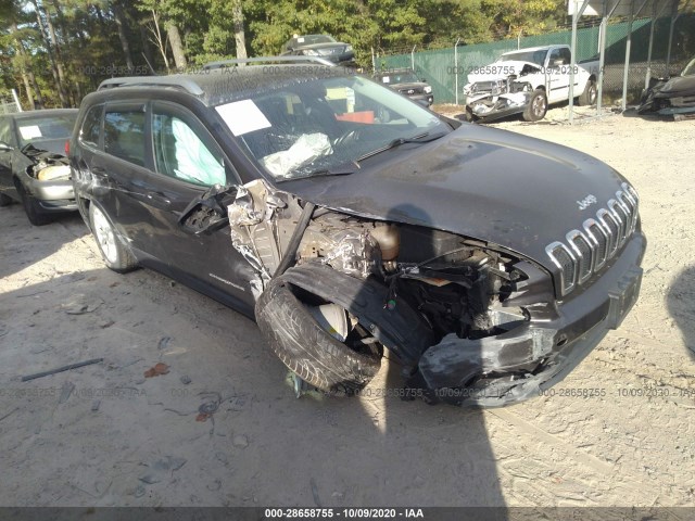 JEEP CHEROKEE 2015 1c4pjlcbxfw601755