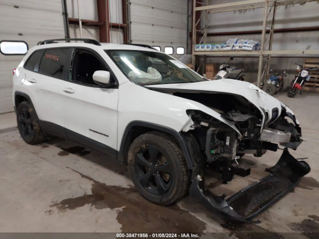 JEEP CHEROKEE 2016 1c4pjlcbxgw238021