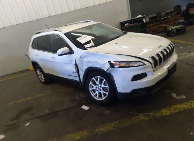 JEEP CHEROKEE 2016 1c4pjlcbxgw336014