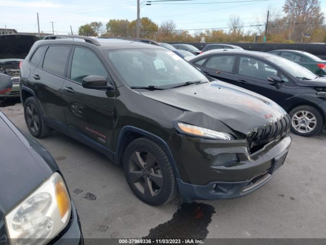 JEEP CHEROKEE 2016 1c4pjlcbxgw342332