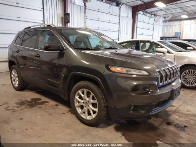 JEEP CHEROKEE 2017 1c4pjlcbxhw619627