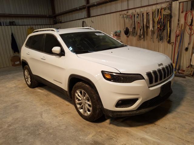 JEEP CHEROKEE 2019 1c4pjlcbxkd487665