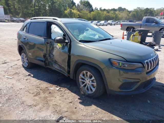 JEEP CHEROKEE 2021 1c4pjlcbxmd150674