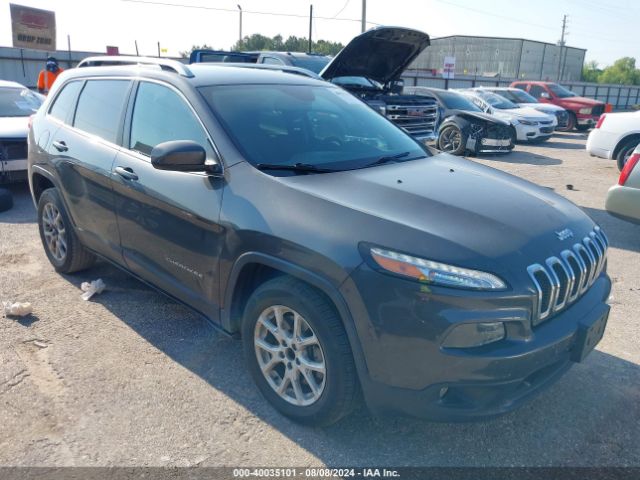 JEEP CHEROKEE 2016 1c4pjlcs3gw173254