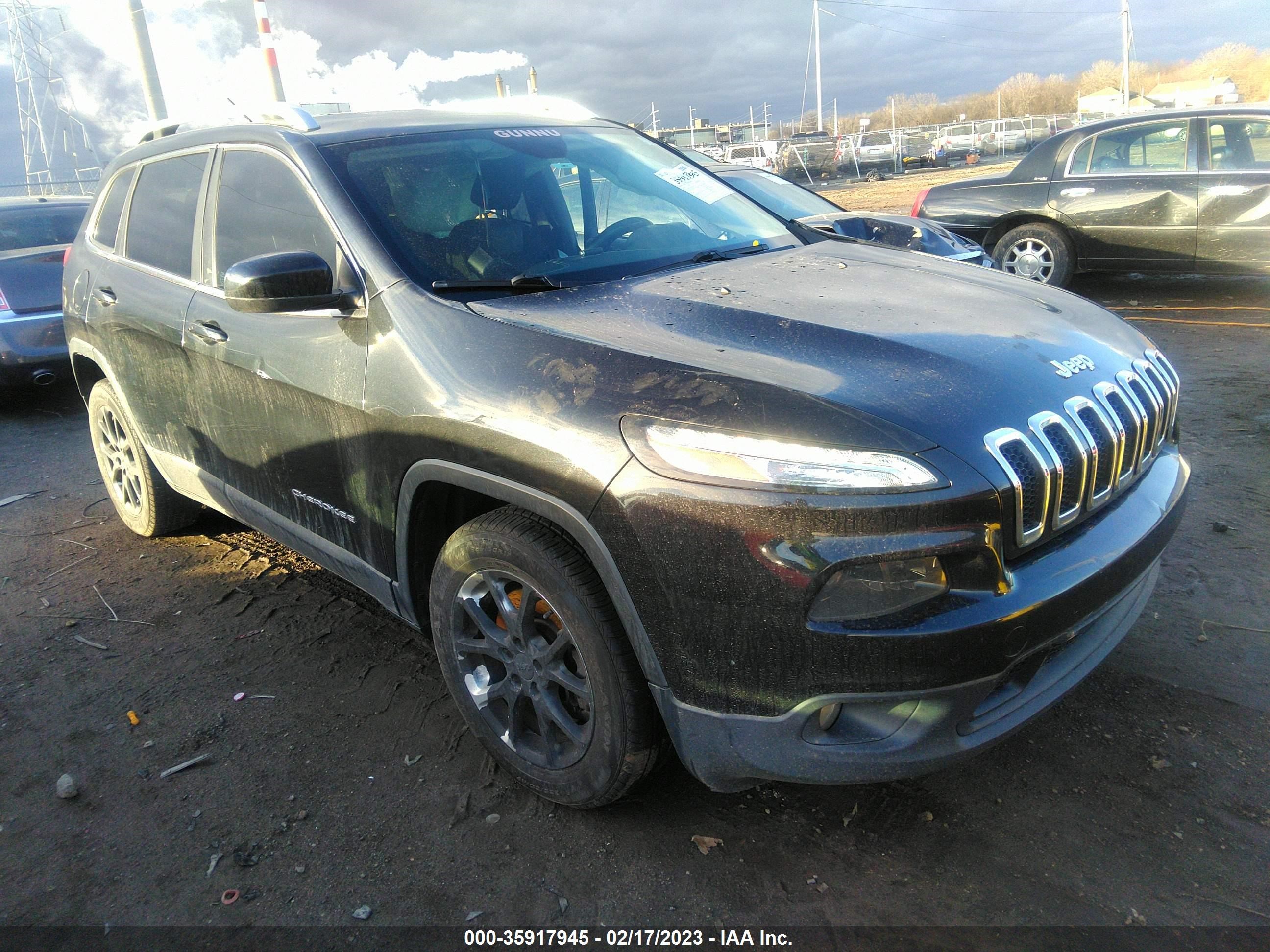 JEEP CHEROKEE 2014 1c4pjlcs4ew103582