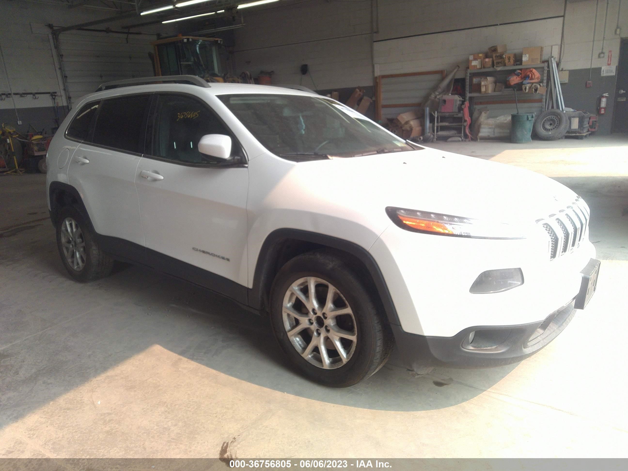 JEEP CHEROKEE 2014 1c4pjlcs5ew115479