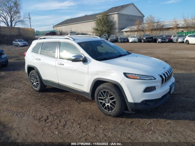 JEEP CHEROKEE 2014 1c4pjlcs6ew205188