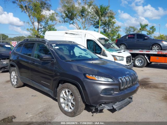 JEEP CHEROKEE 2014 1c4pjlcs6ew319479