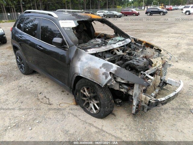 JEEP CHEROKEE 2016 1c4pjlcs6gw190789