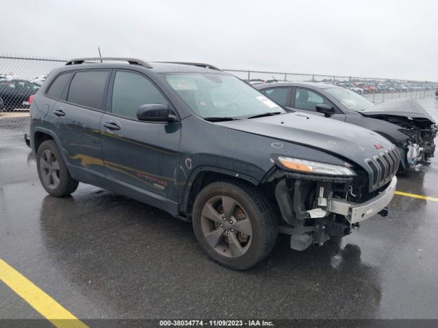 JEEP CHEROKEE 2016 1c4pjlcs6gw342229