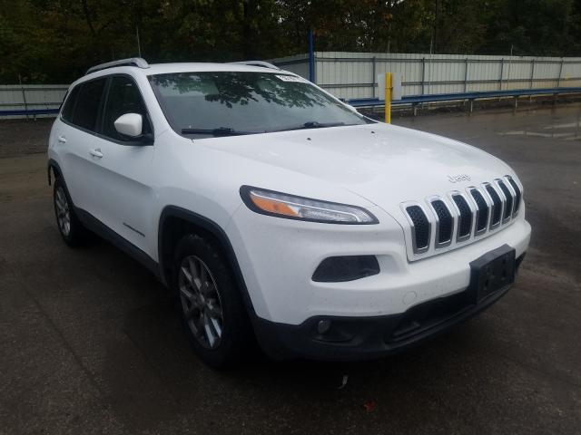 JEEP CHEROKEE L 2014 1c4pjlcs8ew117050