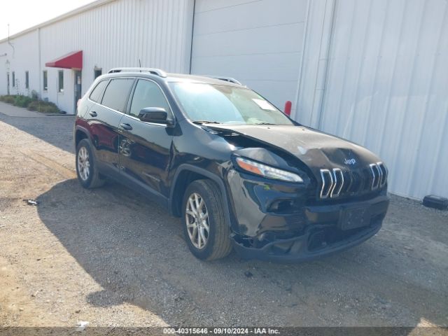 JEEP CHEROKEE 2015 1c4pjlcs9fw782413