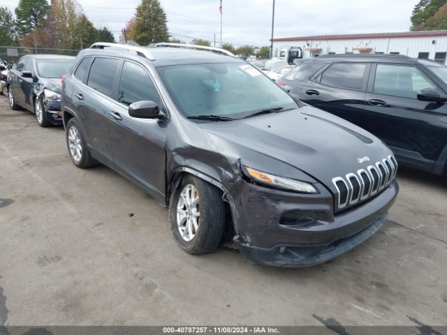 JEEP CHEROKEE 2016 1c4pjlcs9gw312013