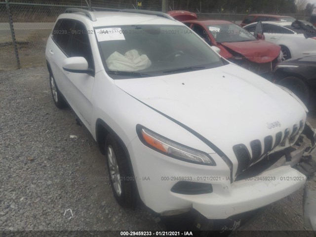 JEEP CHEROKEE 2014 1c4pjlcsxew106180