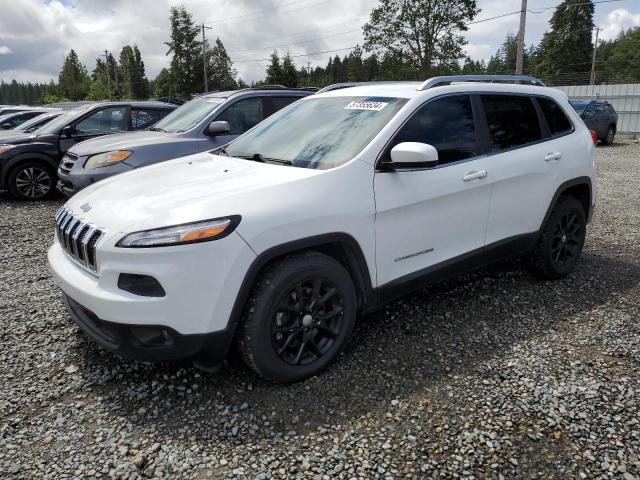 JEEP GRAND CHEROKEE 2014 1c4pjlcsxew117048