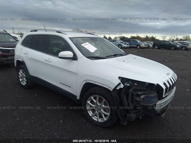 JEEP CHEROKEE 2014 1c4pjlcsxew265460