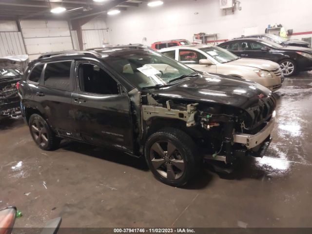 JEEP CHEROKEE 2016 1c4pjlcsxgw307659