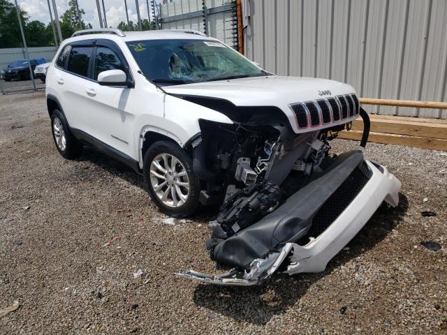 JEEP CHEROKEE L 2019 1c4pjlcx1kd110816