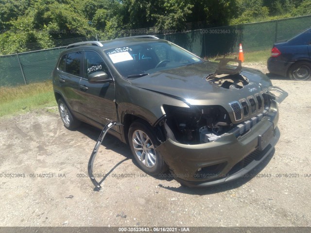 JEEP CHEROKEE 2019 1c4pjlcx1kd120553