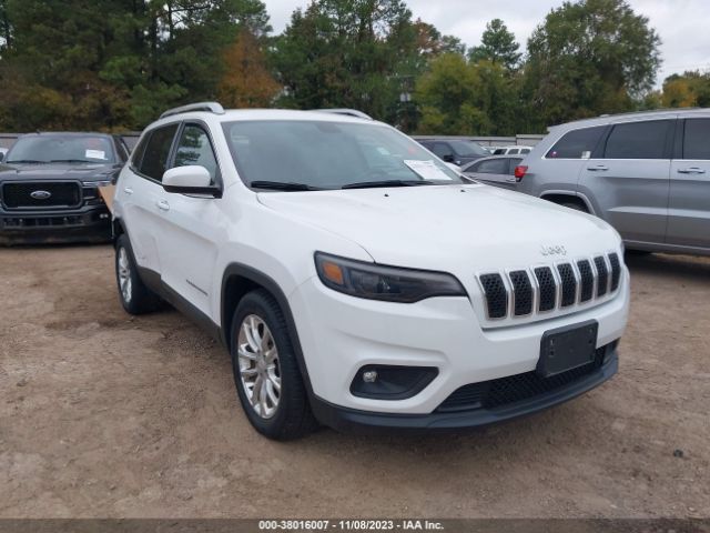 JEEP CHEROKEE 2019 1c4pjlcx9kd160699