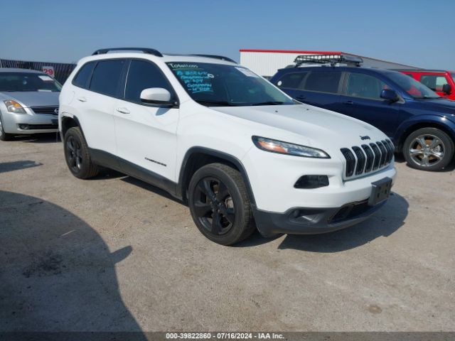 JEEP CHEROKEE 2017 1c4pjldb0hw653381