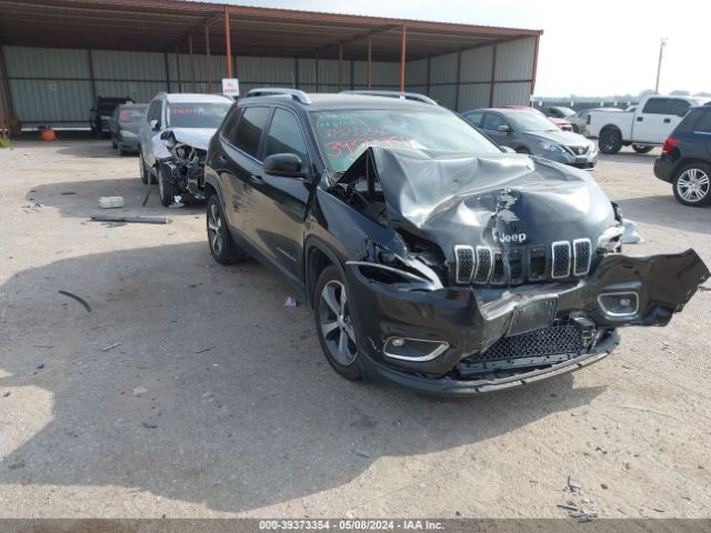 JEEP CHEROKEE 2019 1c4pjldb0kd295962