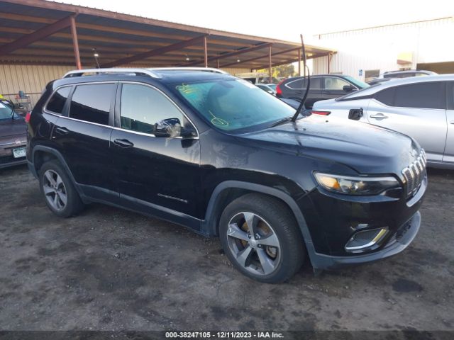 JEEP CHEROKEE 2019 1c4pjldb0kd302263