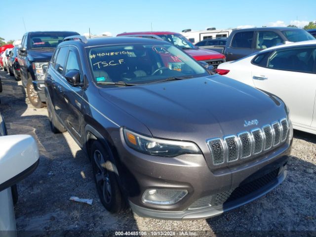 JEEP CHEROKEE 2019 1c4pjldb0kd366173