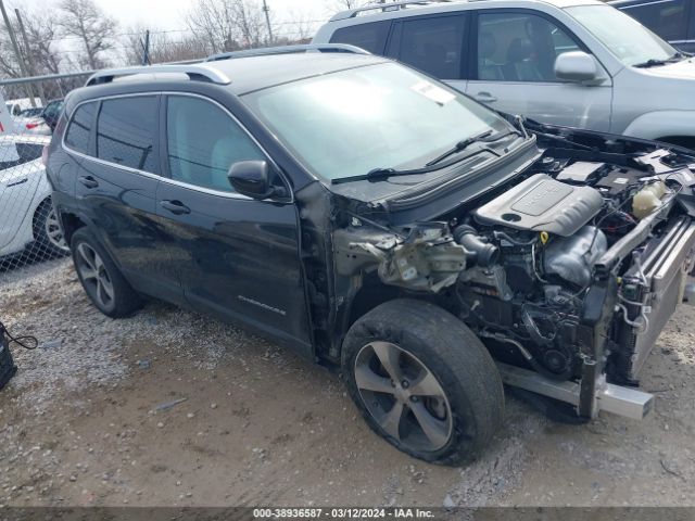 JEEP CHEROKEE 2019 1c4pjldb0kd419602