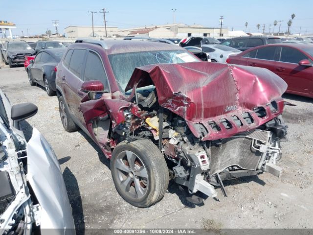 JEEP CHEROKEE 2019 1c4pjldb0kd457802