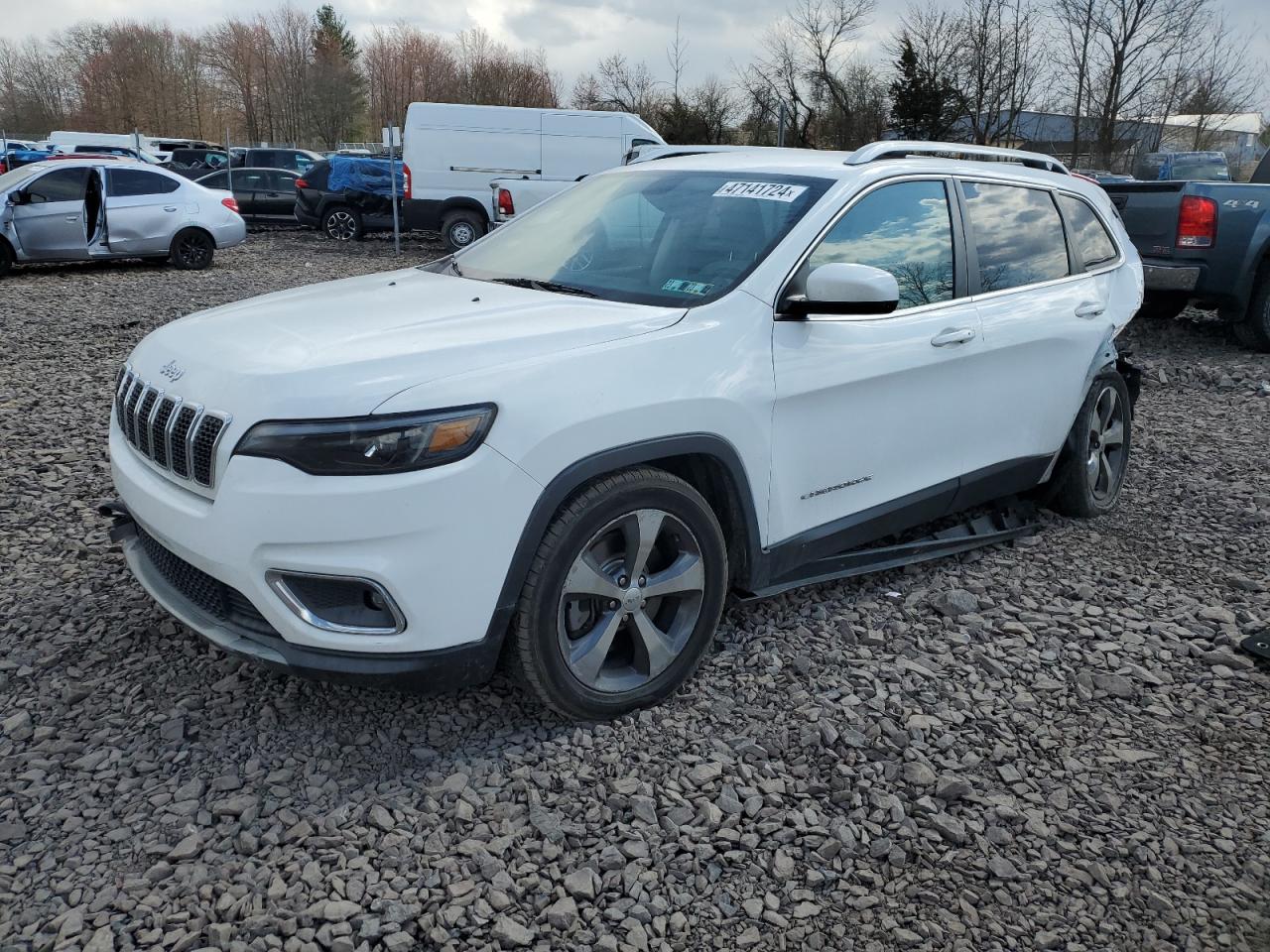 JEEP CHEROKEE 2019 1c4pjldb0ld560705