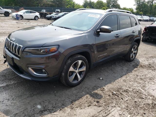 JEEP CHEROKEE 2019 1c4pjldb0ld587242