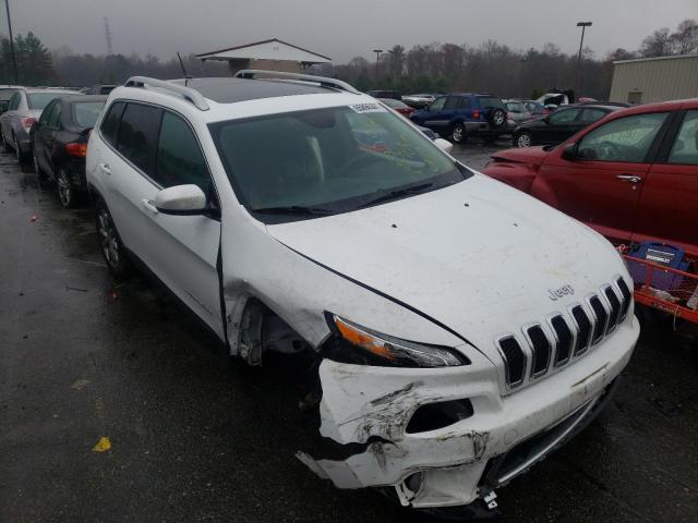 JEEP NULL 2014 1c4pjldb1ew134285