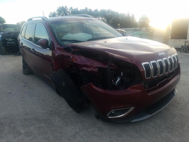 JEEP NULL 2019 1c4pjldb1kd428230