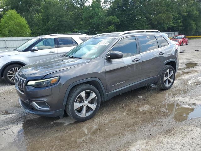 JEEP CHEROKEE 2019 1c4pjldb1kd438563