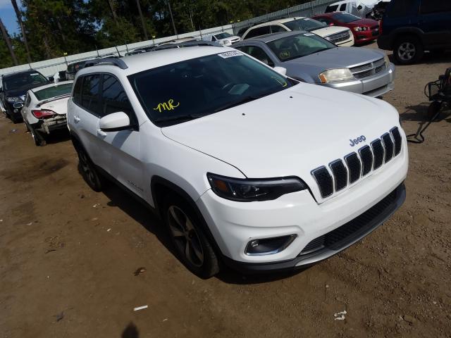 JEEP NULL 2019 1c4pjldb2kd434067