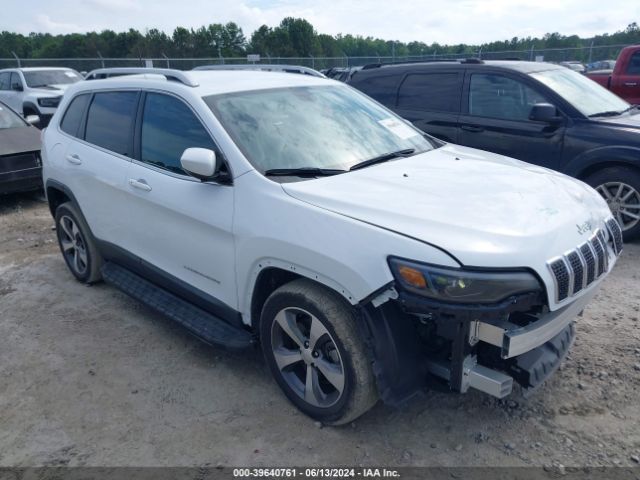 JEEP CHEROKEE 2019 1c4pjldb2kd434313